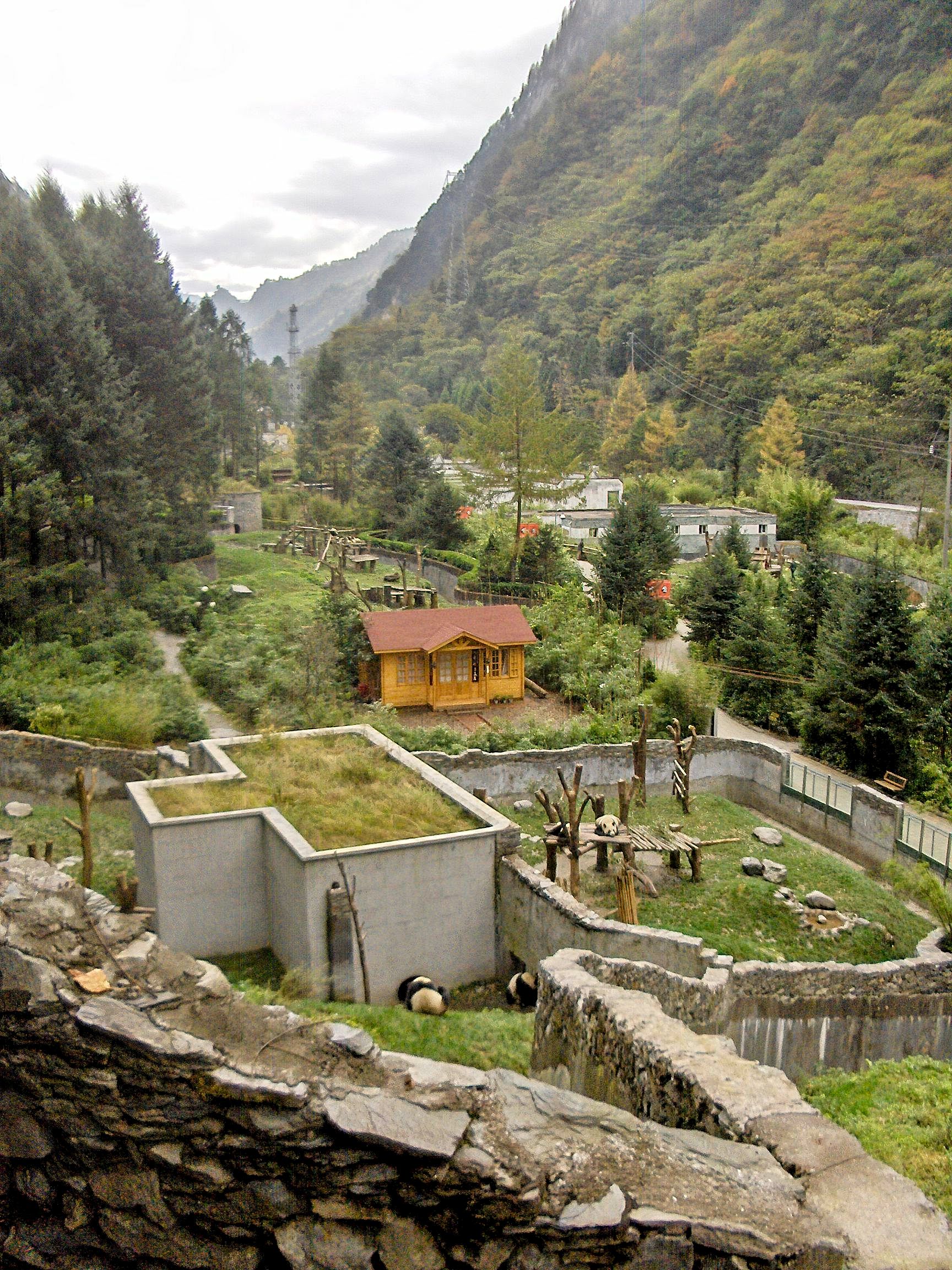 From above Looking down onto the Wolong Panda Center