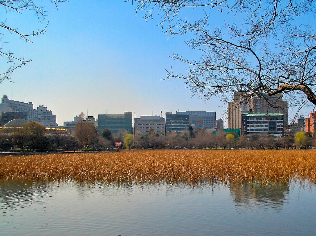 Ueno Park